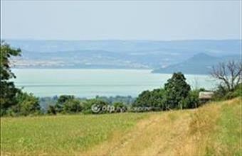 Eladó Kőröshegyi egyéb mezőgazdasági ingatlan hirdetés (22669965)