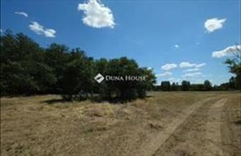 Eladó Kecskeméti külterületi telek hirdetés (94741438)