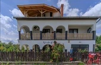 Eladó Bajai üdülő hirdetés (47575478)