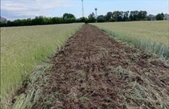 Eladó Albertirsai egyéb telek hirdetés (98349379)