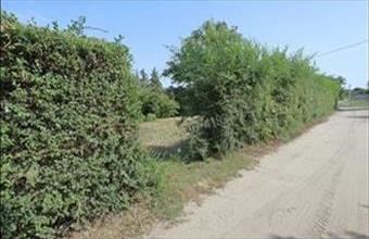 Eladó Szatymazi egyéb telek hirdetés (34377391)