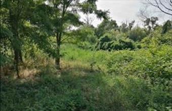 Eladó Szőlősgyöröki lakóövezeti telek hirdetés (24383345)