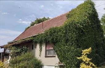 Eladó Jászdózsai családi ház hirdetés (55253784)