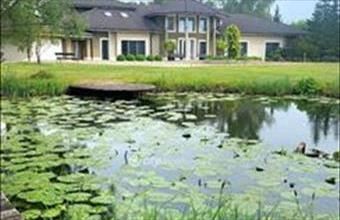 Eladó Debreceni családi ház hirdetés (23823237)