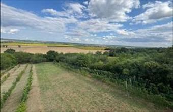 Eladó Ongai egyéb mezőgazdasági ingatlan hirdetés (66185925)