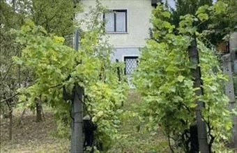 Eladó Pilisvörösvári családi ház hirdetés (78395988)