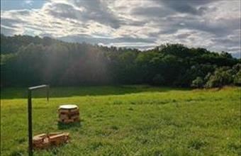 Eladó Zalacsébi családi ház hirdetés (77587232)