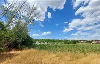 Eladó Ercsi lakóövezeti telek hirdetés (92234435)