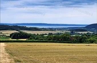 Eladó Szentjakabfai egyéb mezőgazdasági ingatlan hirdetés (73865388)