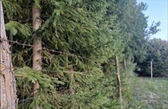 Eladó Nagykanizsai lakóövezeti telek hirdetés (38353269)