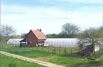 Eladó Gyulai egyéb mezőgazdasági ingatlan hirdetés (44416973)