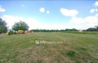 Eladó Szentesi egyéb telek hirdetés (45863571)
