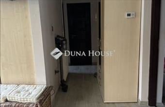 Eladó Lajosmizsei tanya hirdetés (23754854)