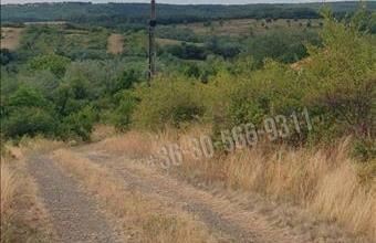 Eladó Erdőkürti egyéb telek hirdetés (94997833)