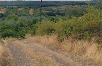 Eladó Erdőkürti egyéb telek hirdetés (94997833)