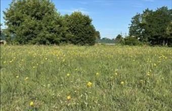 Eladó Tököli egyéb telek hirdetés (39393437)