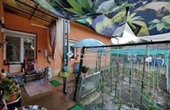 Eladó Vecsési családi ház hirdetés (59932465)
