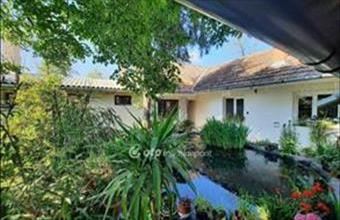 Eladó Ceglédi tanya hirdetés (22585339)