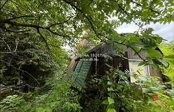 Eladó Délegyházai családi ház hirdetés (46365159)