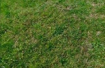 Eladó Ságvári zártkert hirdetés (99243473)