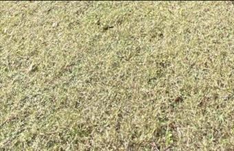 Eladó Zicsi lakóövezeti telek hirdetés (89343773)