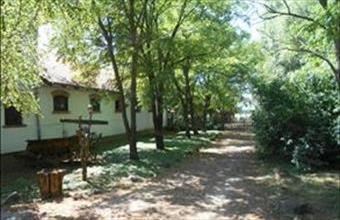 Eladó Somlószőlősi tanya hirdetés (35474272)