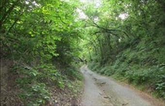 Eladó Mindszentkállai egyéb mezőgazdasági ingatlan hirdetés (97895425)