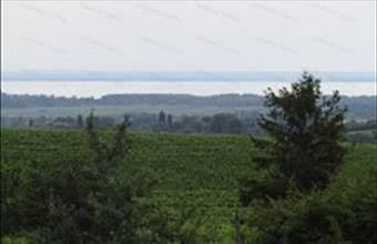 Eladó Lesencetomaji zártkert hirdetés (24731738)