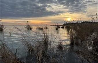 Eladó Balatonakali egyéb mezőgazdasági ingatlan hirdetés (92428424)