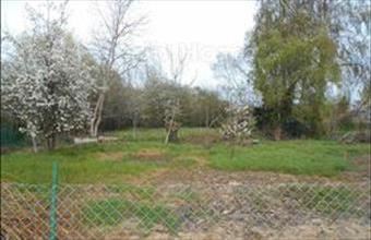 Eladó Nemesgulácsi lakóövezeti telek hirdetés (57496796)