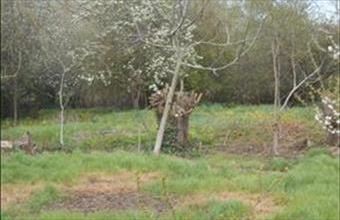 Eladó Nemesgulácsi lakóövezeti telek hirdetés (57496796)