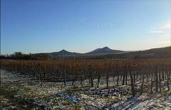 Eladó Tapolcai egyéb mezőgazdasági ingatlan hirdetés (27553554)