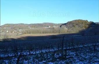 Eladó Tapolcai egyéb mezőgazdasági ingatlan hirdetés (99474843)