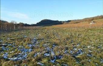 Eladó Tapolcai egyéb mezőgazdasági ingatlan hirdetés (92437668)