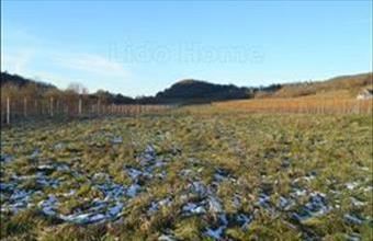 Eladó Tapolcai egyéb mezőgazdasági ingatlan hirdetés (55389149)