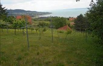 Eladó Badacsonytomaji hétvégi ház hirdetés (37592249)