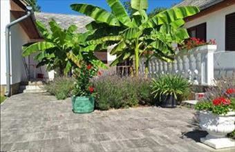 Eladó Vonyarcvashegyi étterem, vendéglő hirdetés (34393535)