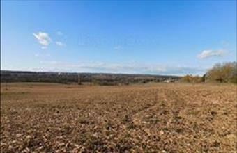 Eladó Keszthelyi egyéb mezőgazdasági ingatlan hirdetés (37782245)