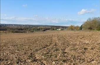 Eladó Keszthelyi egyéb mezőgazdasági ingatlan hirdetés (37782245)