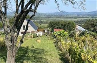 Eladó Balatonedericsi hétvégi ház hirdetés (94297326)