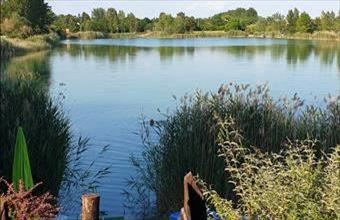 Eladó Délegyházai családi ház hirdetés (26543533)