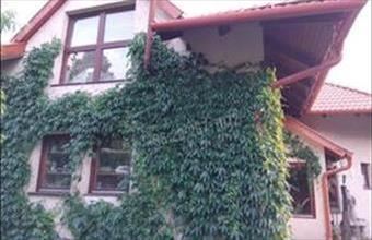 Eladó Veresegyházi családi ház hirdetés (93422779)