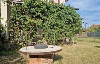 Eladó Tóalmási családi ház hirdetés (75527739)