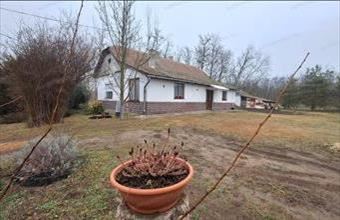 Eladó Jászberényi tanya hirdetés (48715341)