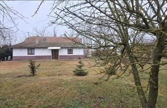 Eladó Jászberényi tanya hirdetés (48715341)