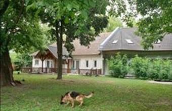 Eladó Kecskeméti családi ház hirdetés (63249727)