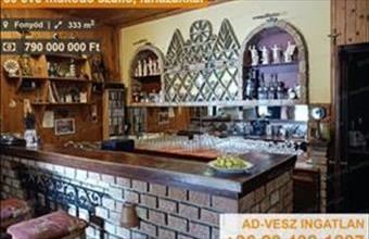 Eladó Fonyódi hotel, szálloda, panzió hirdetés (63995895)