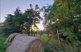 Eladó Gyulai egyéb mezőgazdasági ingatlan hirdetés (34933998)