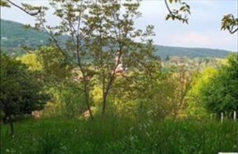 Eladó Piliscsabai családi ház hirdetés (94724997)