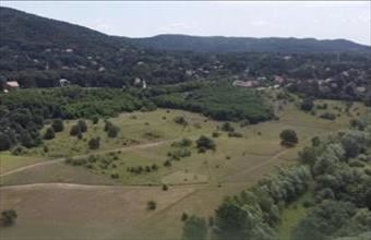 Eladó Piliscsabai lakóövezeti telek hirdetés (52937959)